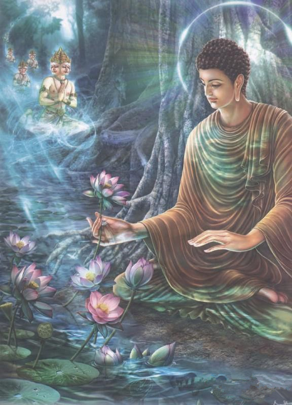 佛陀一生的故事 读完深受启示
