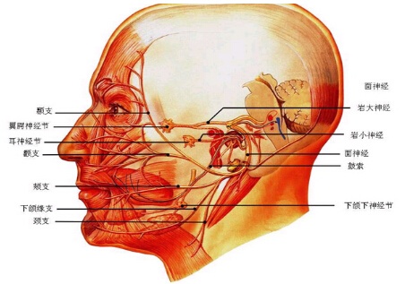 面肌痉挛的原因有哪些?