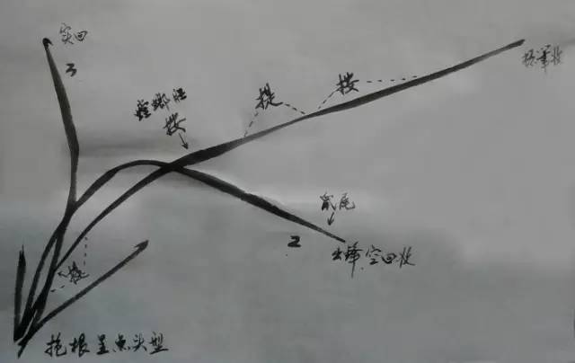 喜欢画兰吗?一学就会 | 兰花的写意画法