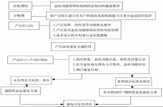 为了性福生活,重视产后盆底康复!