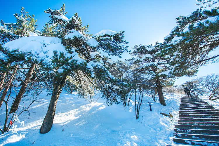 冬雪黄山世界最美