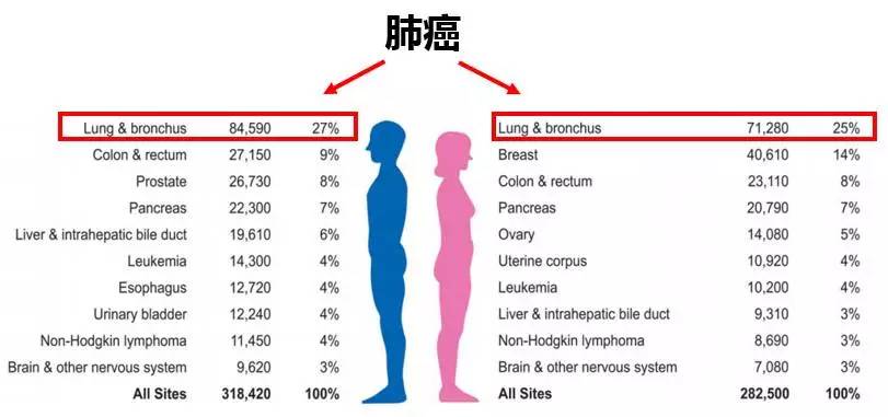 肺癌死亡率下降43,禁烟效果惊人