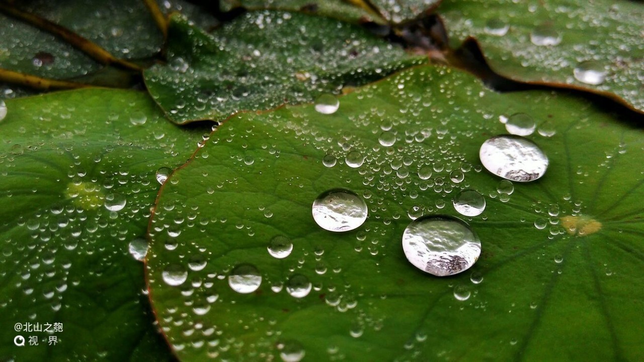 伞下的世界,在雨天拍不一样的美妙光景!