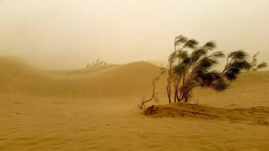 宝来14环游中国第18集塔克拉玛干沙漠遇沙尘暴
