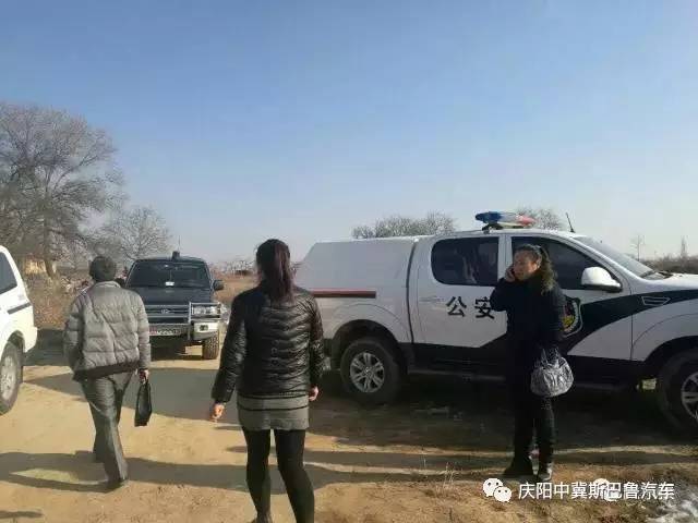庆城县赤城乡发现疑似狼的动物,森警击毙消除