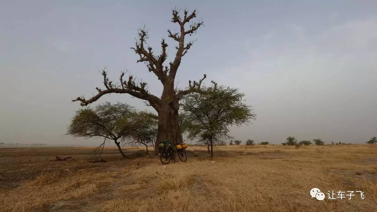 骑行非洲【11】在塞内加尔,那些景色让我毕生
