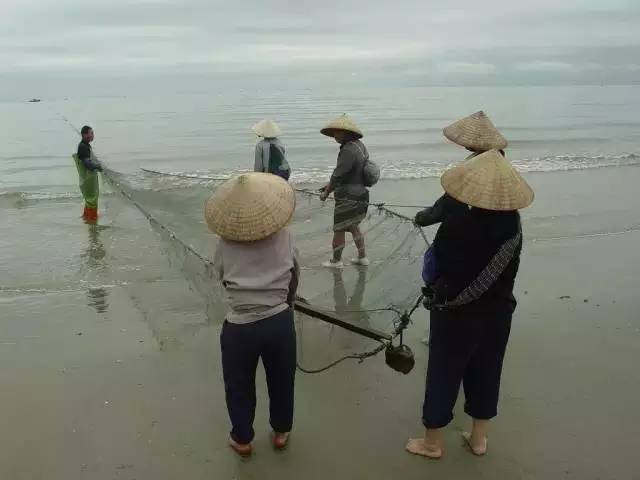 玉林经济总量不大_玉林狗肉节(3)