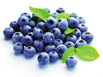 蓝莓营养价值、功效作用与食用禁忌! - 微信公