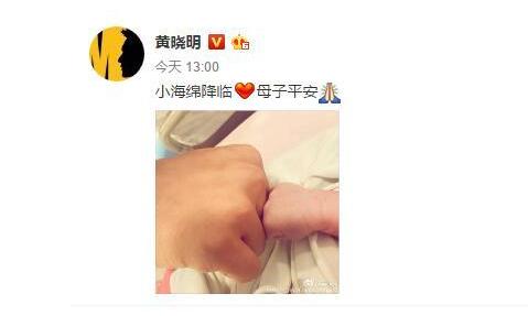 黄晓明儿子取名小海绵?和小海豚有什么关系?