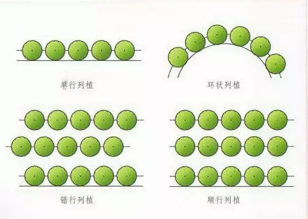 植物栽种轨则你了解多少？孤植、丛植、群植……