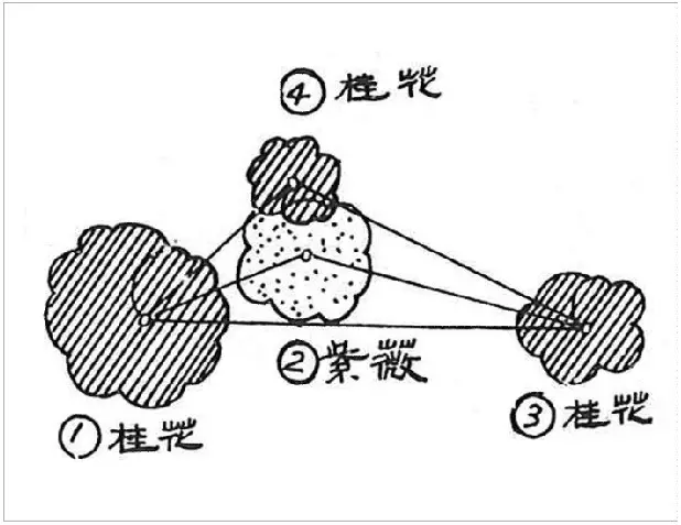 植物栽种轨则你了解多少？孤植、丛植、群植……