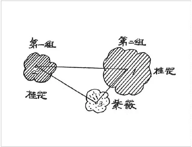 植物栽种轨则你了解多少？孤植、丛植、群植……