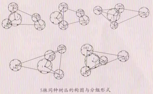 植物栽种轨则你了解多少？孤植、丛植、群植……