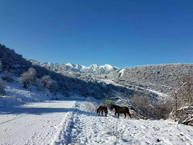 四川冬季旅游必去景点排行榜!