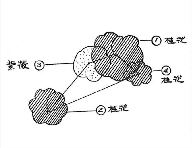 植物栽种轨则你了解多少？孤植、丛植、群植……