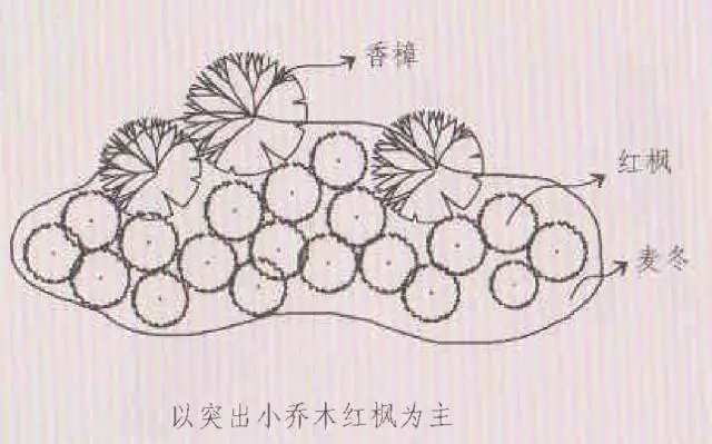 植物栽种轨则你了解多少？孤植、丛植、群植……