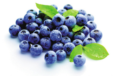 蓝莓营养价值、功效作用与食用禁忌!