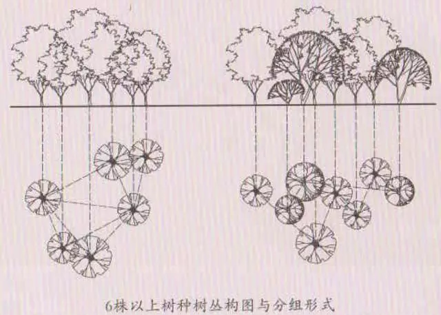 植物栽种轨则你了解多少？孤植、丛植、群植……