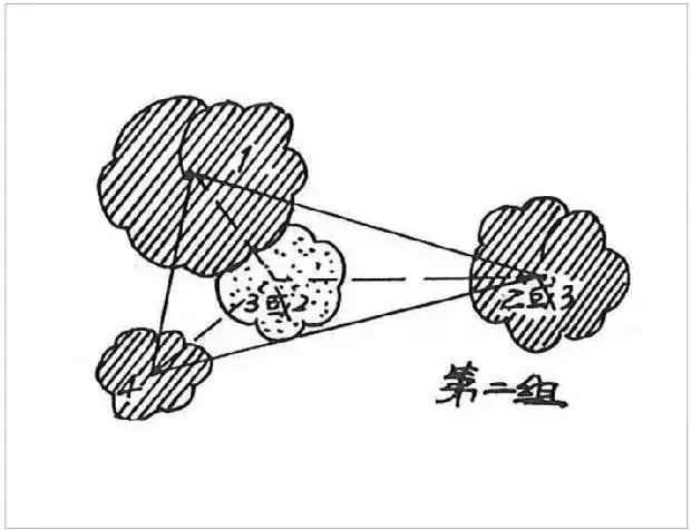 植物栽种轨则你了解多少？孤植、丛植、群植……