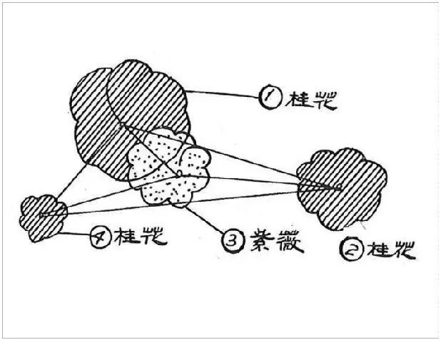 植物栽种轨则你了解多少？孤植、丛植、群植……