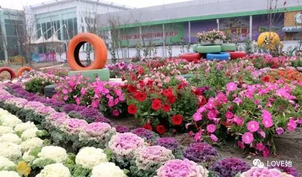 这是深圳最大花卉市场之一.