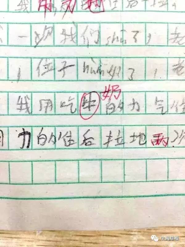 宁海一小学生期末考写字恳求:给个60分回家好过年.