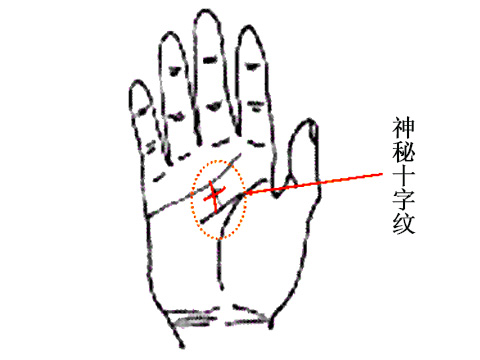 叶氏命理馆:什么是十字纹手相