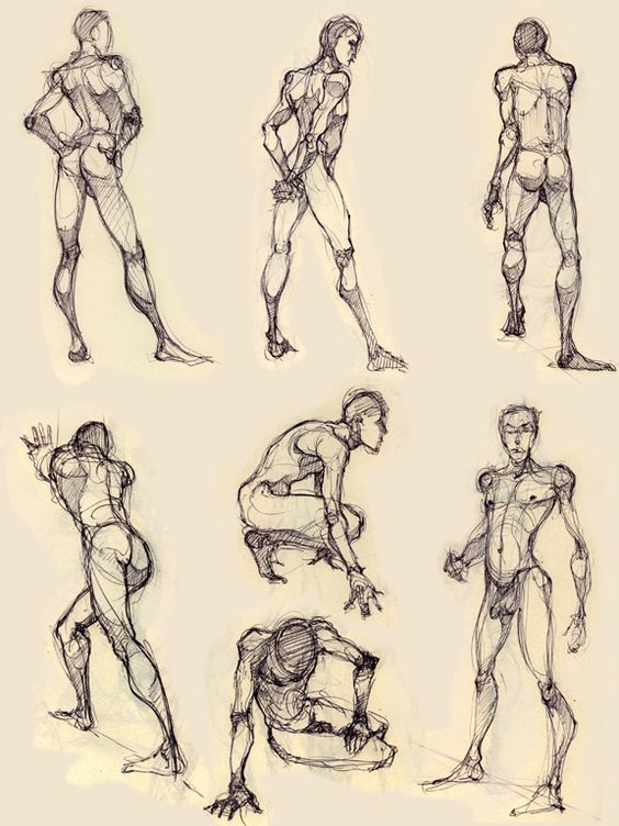 金琥珀推荐男性人体动态 素材,从零开始学画画