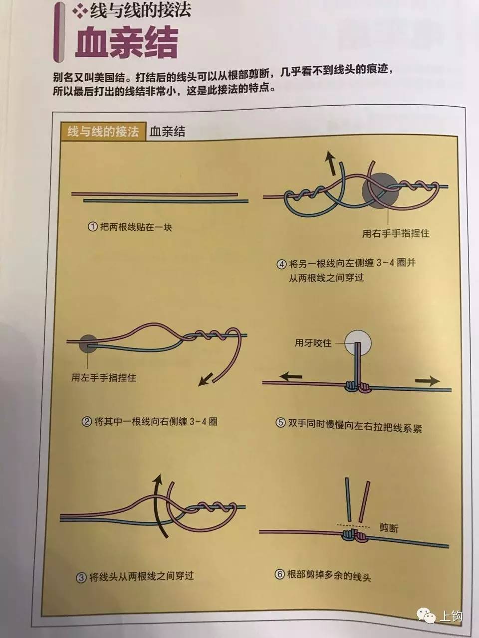 其中 fg结,也就是gt结,几乎是每个玩路亚的朋友必须学会的绑线方式.