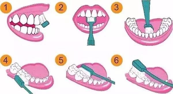 com       教会孩子刷牙也要由表及里 牙齿缝隙,内侧统统都要顾及到