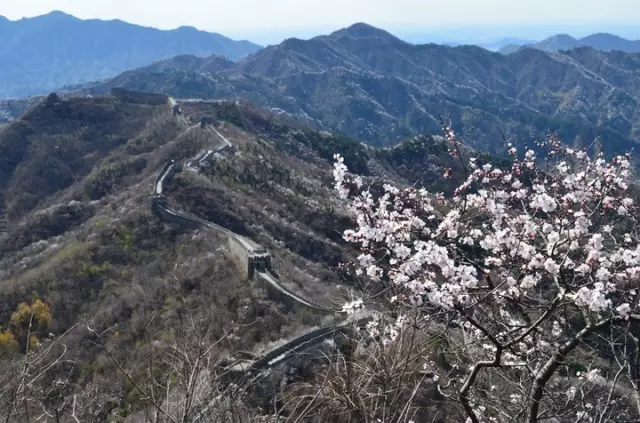 围场县城人口_承德市各区县 围场县人口最多面积最大,宽城县GDP第一(3)