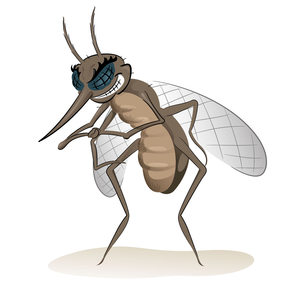 蚊子雷电是什么成语_雷电接口有什么用