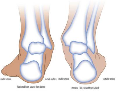 我是:腓骨肌肉萎缩症 (charcot marie tooth disease,简称cmt), 又称