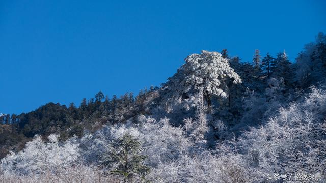 都江堰龙池遭封山了 那就去雅安喇叭河赏雪呗