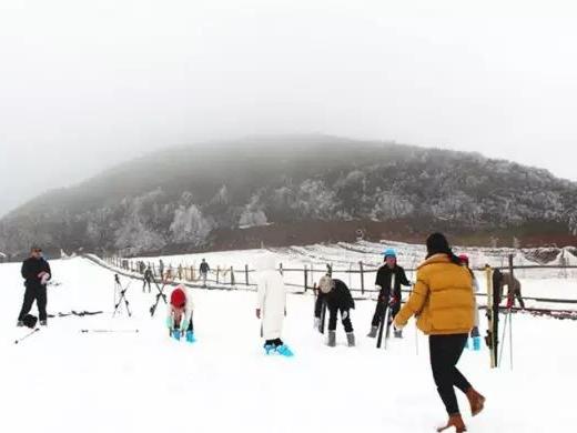 遵义大娄山滑雪场开业啦!约吗