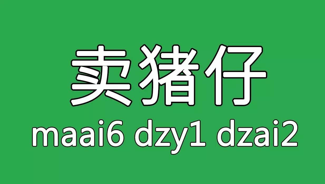 五邑招聘_江门市五邑职业培训学校招聘启事(3)