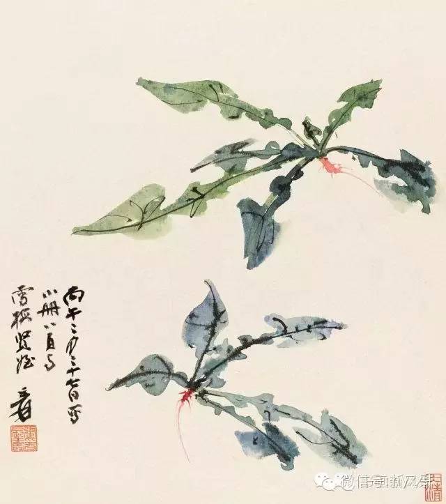 张大千对美食的喜爱自然也传递到绘画创作中,他画过很多白菜,萝卜