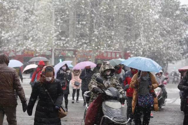 注意丨春节前一周天气"忽冷忽热" 春节假期多地有降雨