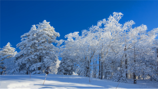 互联网+旅游,助力龙江森工冰雪经济业态升级