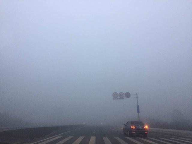 重庆今晨大雾来袭 多条高速管制