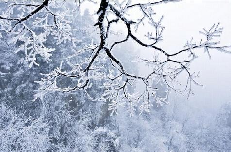 美文诗词:冬晚对雪忆胡居士家(一作王劭诗,非)