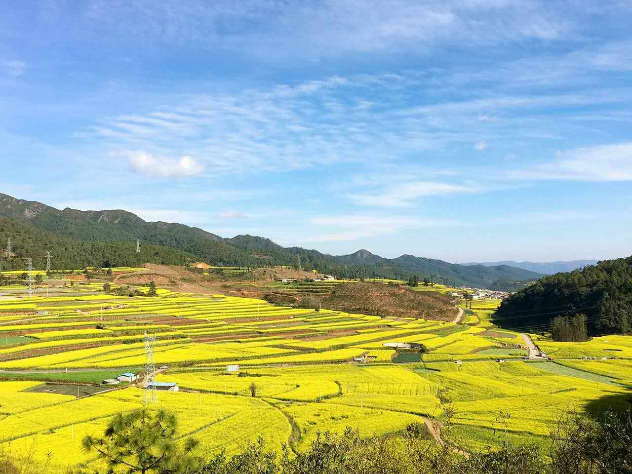 云南峨山举行2017油菜花文化旅游节新闻发布会