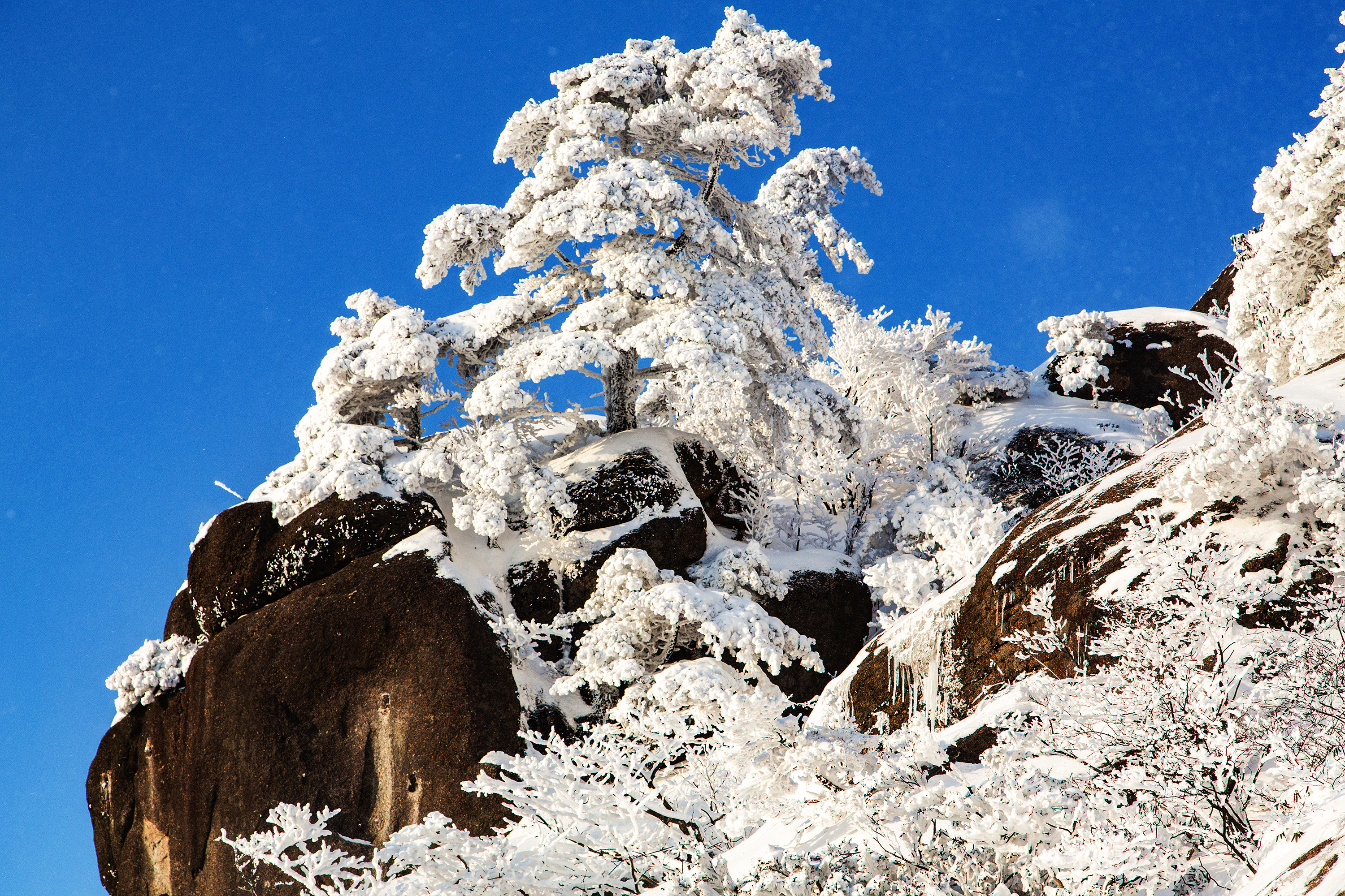 黄山第五绝"冬雪"