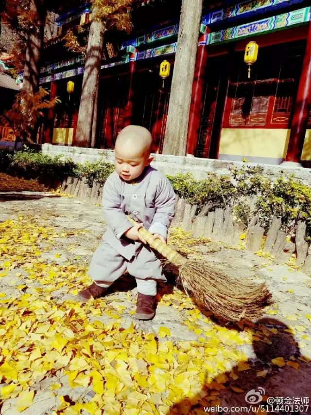 一组寺院小萌童照片 让你想到曾经快乐的自己