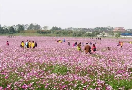 热闹过大年!除夕出发￥888元3天=住古兜温泉