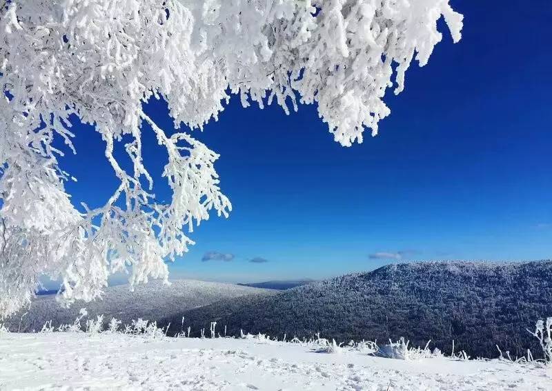 "赏冰乐雪"—中国雪托帮体验之旅,主播带你去翱翔!