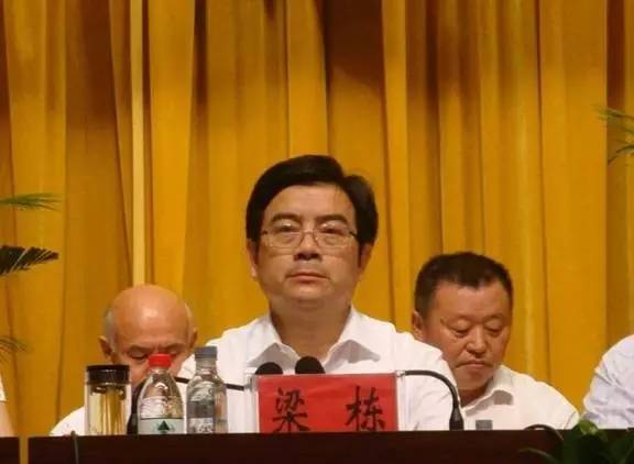 阜阳市原副市长梁栋严重违纪被开除党籍,公职!