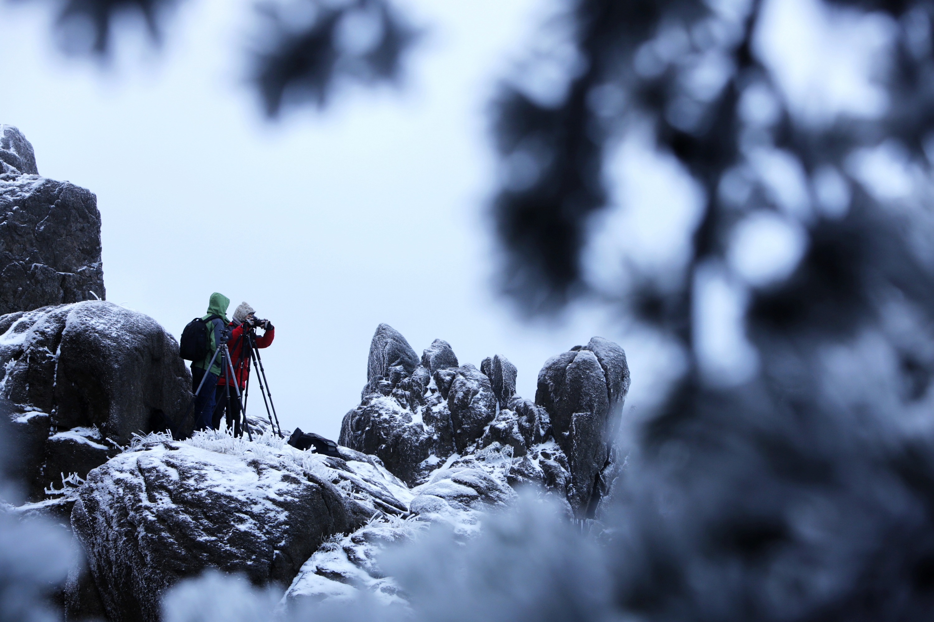 黄山第五绝"冬雪"