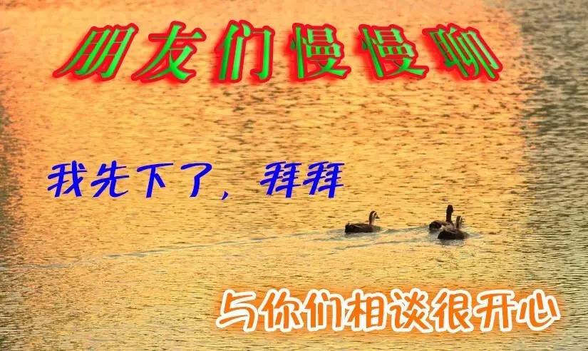 的官微君只属于你们本次中老年表情包大赏已步入尾声感谢网络让我们相