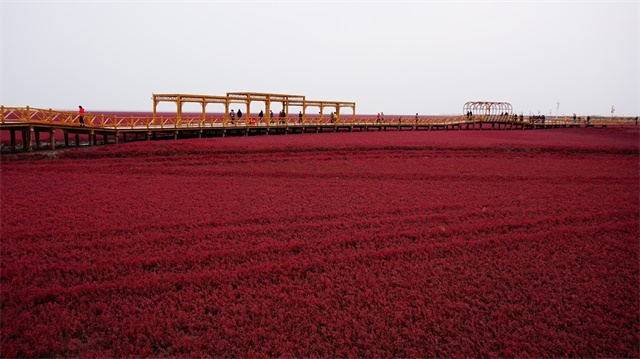 2011株洲市人均gdp_辽宁省人均GDP最高的城市,竟然是这座四线城市